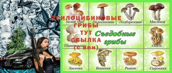 эйфоретик Алзамай