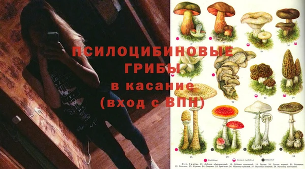 эйфоретик Алзамай