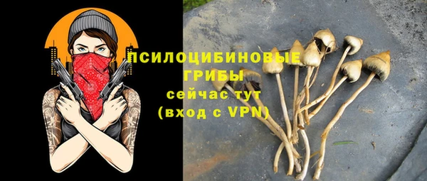 эйфоретик Алзамай