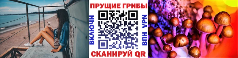 купить наркоту  Нижний Тагил  Галлюциногенные грибы GOLDEN TEACHER 